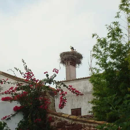 Casa Claudia - Pool And Wifi *